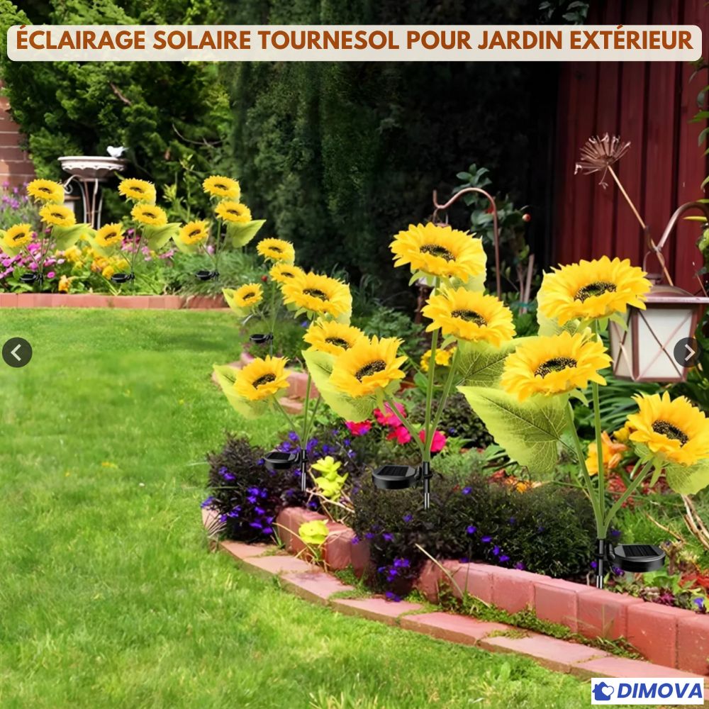 Dimova® Lampes solaires LED tournesol
