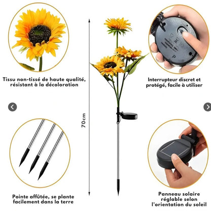 Dimova® Lampes solaires LED tournesol