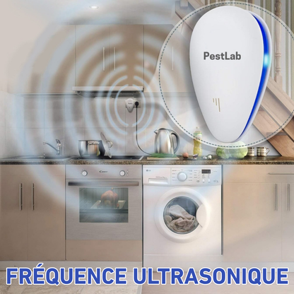PestLab™ Répulsif anti-nuisibles 2025 amélioré