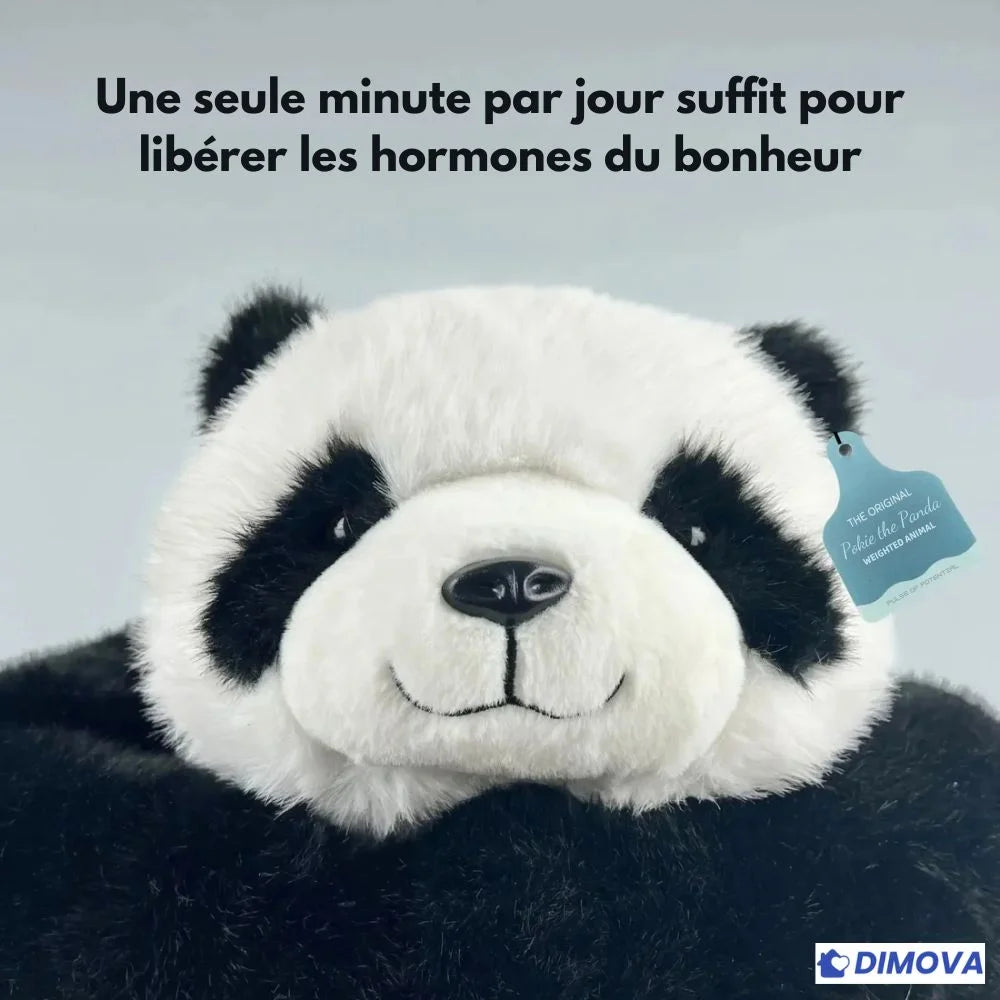 Pookie le Panda – Peluche Lestée Apaisante