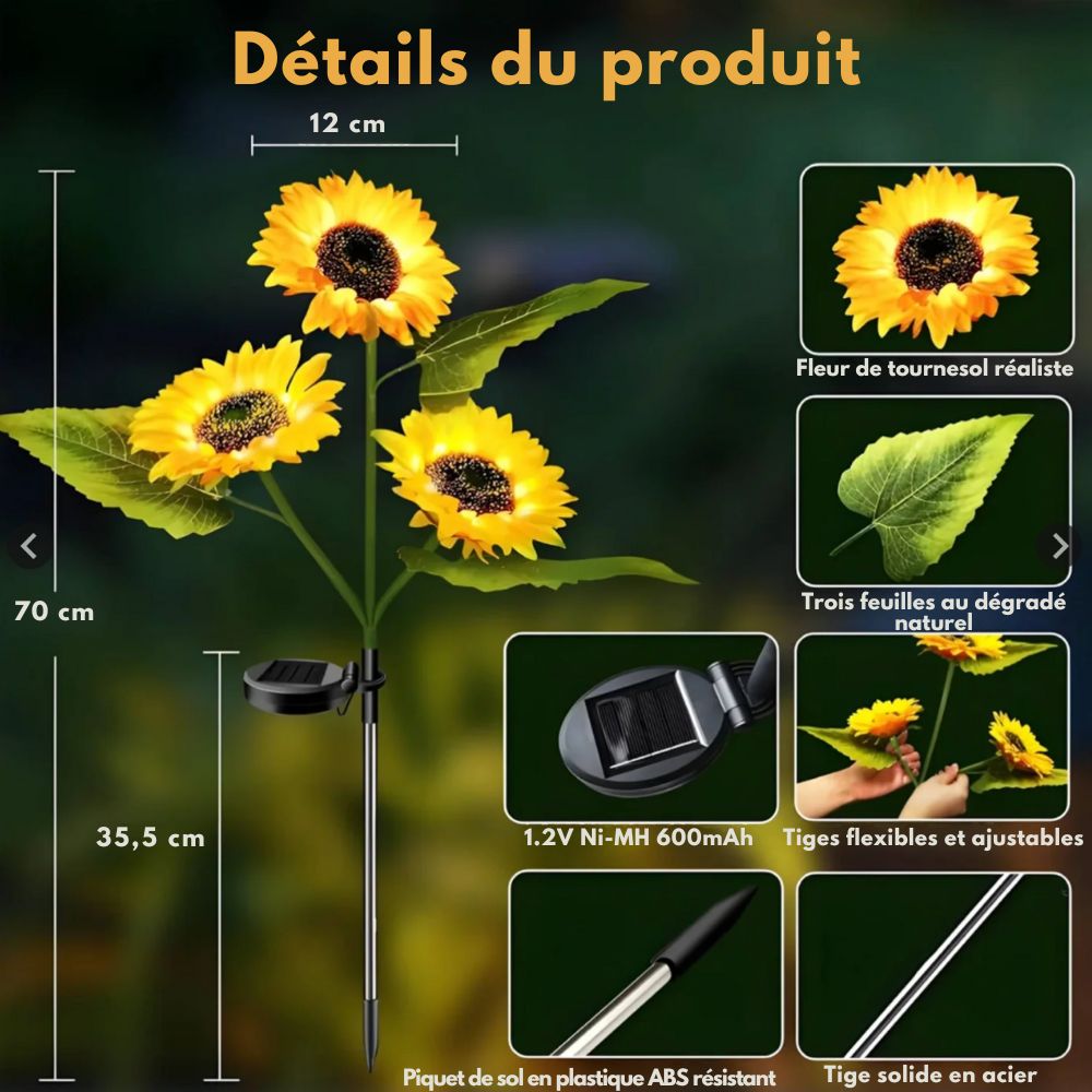 Dimova® Lampes solaires LED tournesol
