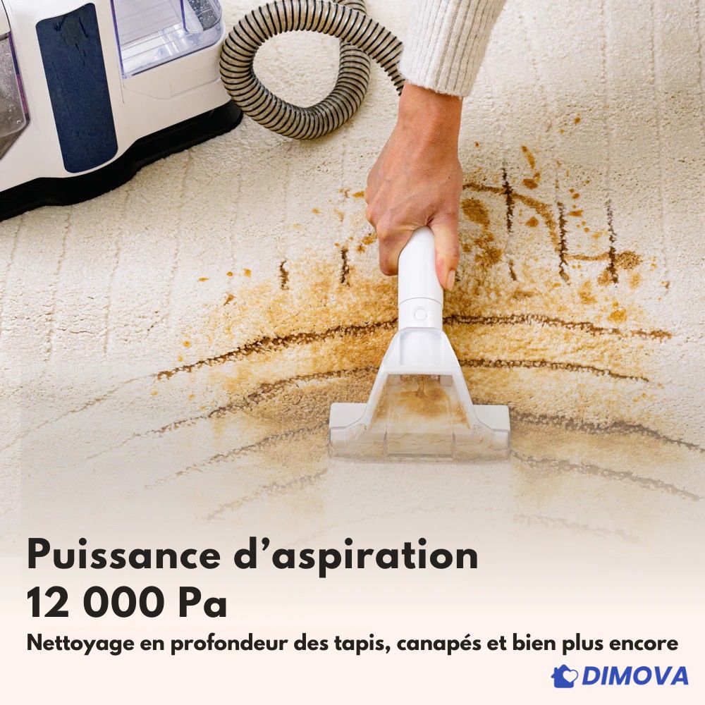 DPRO-1000 : Détachant ultra-puissant