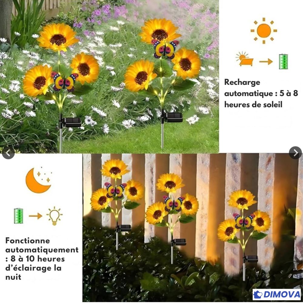 Dimova® Lampes solaires LED tournesol